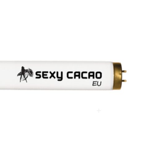 SEXY CACAO EU SR 160 W XL